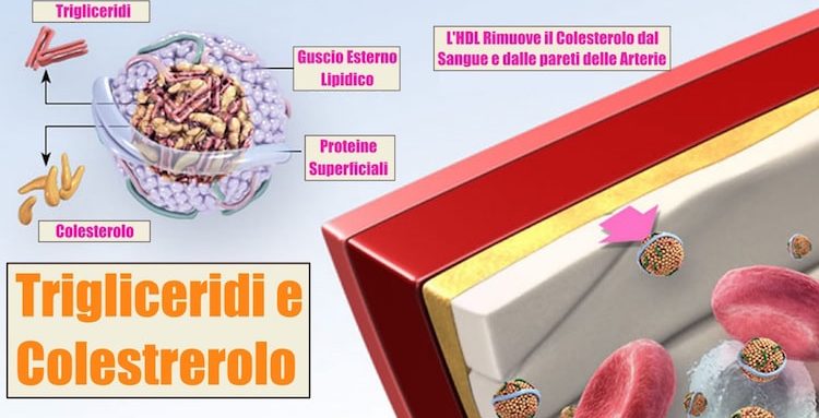 dieta anti trigliceridi alti