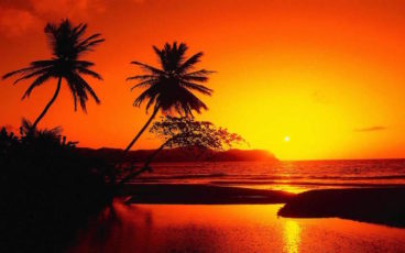 lo psicologo cosa fa