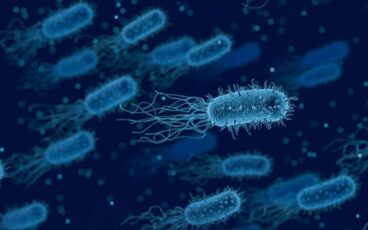 microbiota intestinale